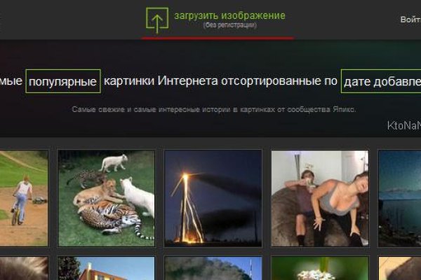 Как выйти на кракен